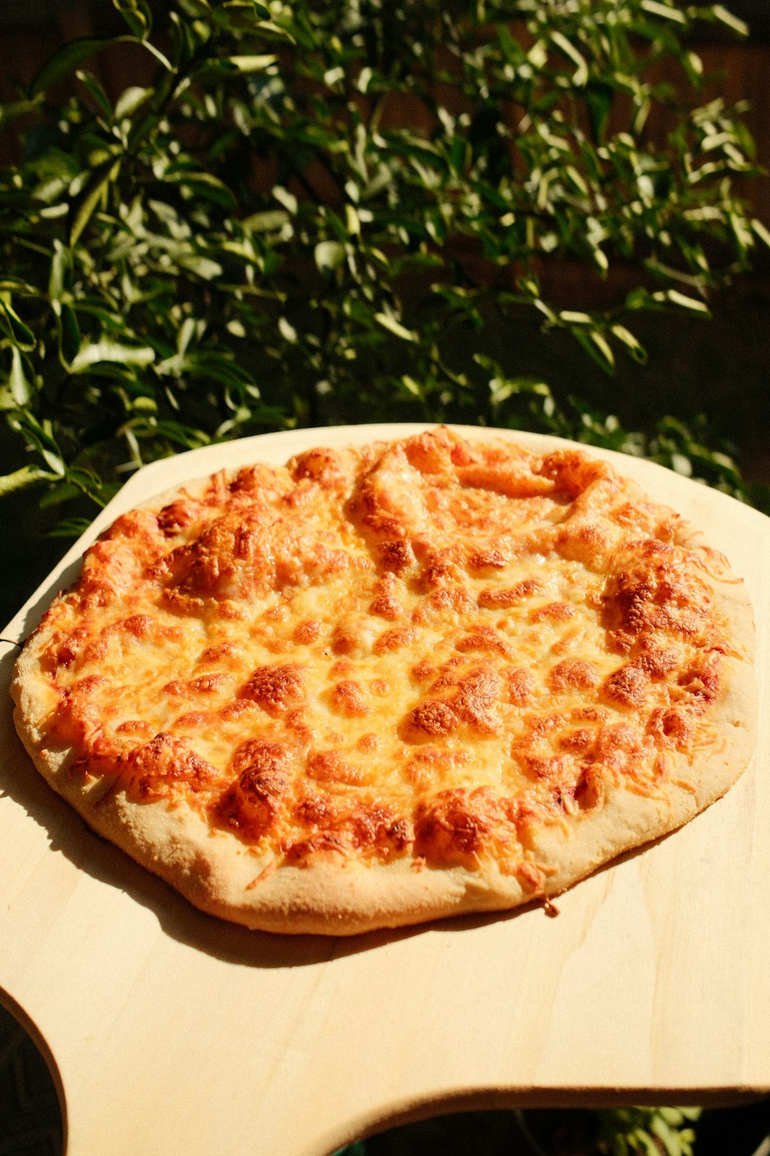 Multigrain Crust